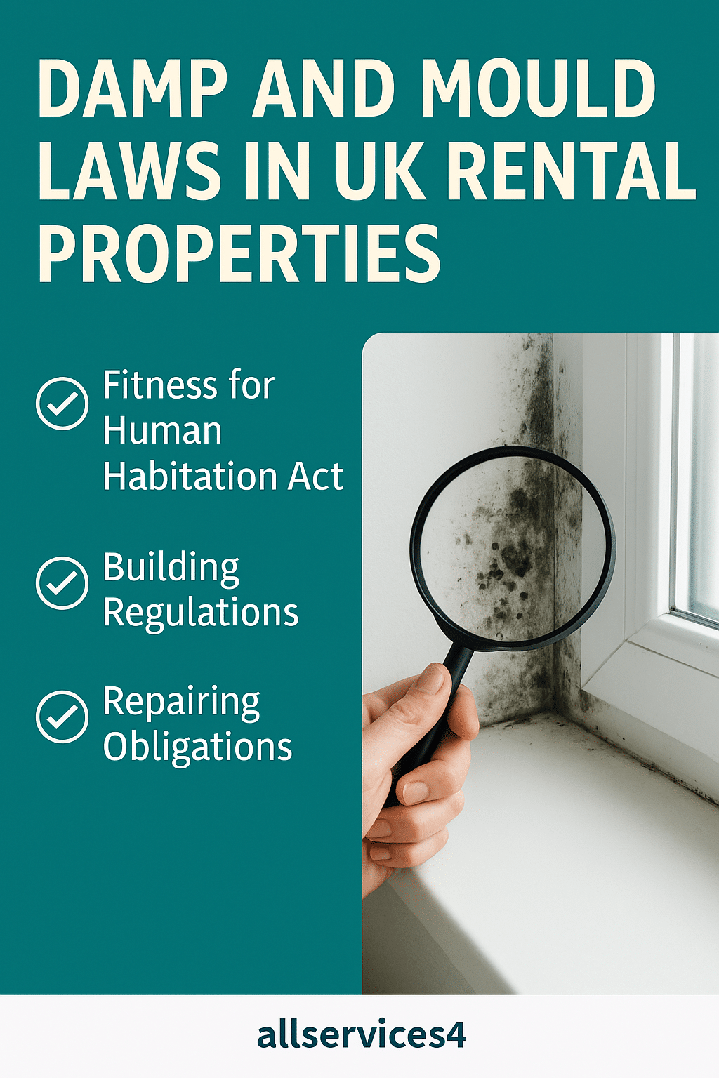 🏚️ Mould & Damp in Rental Properties