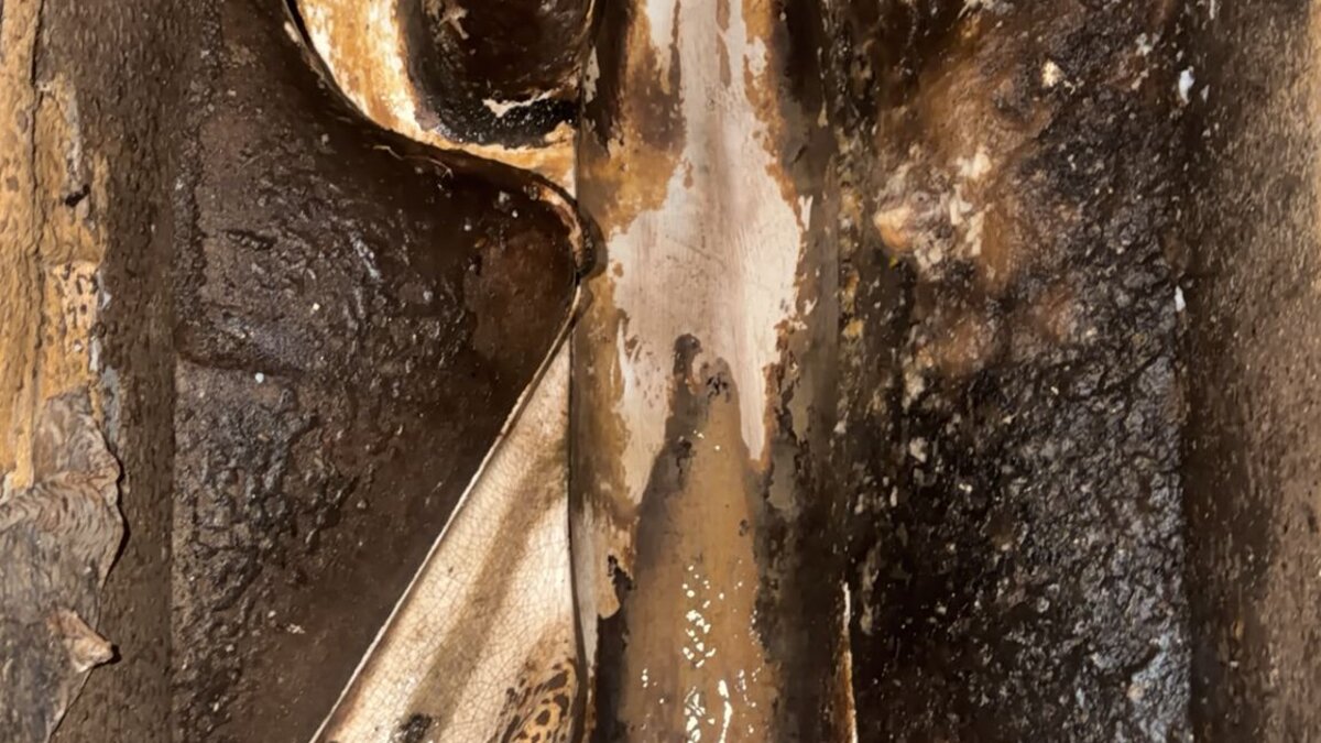 Toilet Leak and Blockage: Resolving Two Concurrent Plumbing Faults at a Commercial Office in Paddington - image-03.jpeg