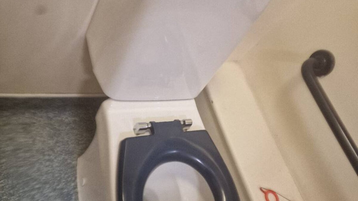 Toilet Refix at School: Securing Loose WC Pans at a Special Educational Needs School in St Albans - image-03.jpeg