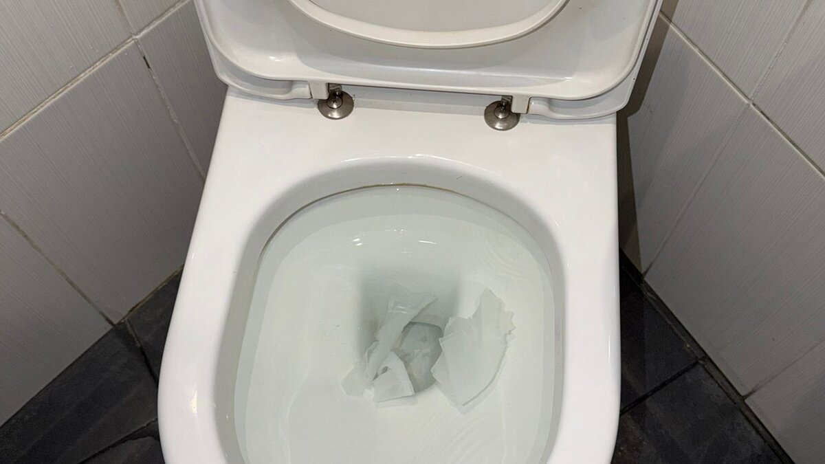 Toilet Leak and Blockage: Resolving Two Concurrent Plumbing Faults at a Commercial Office in Paddington - image-04.jpeg