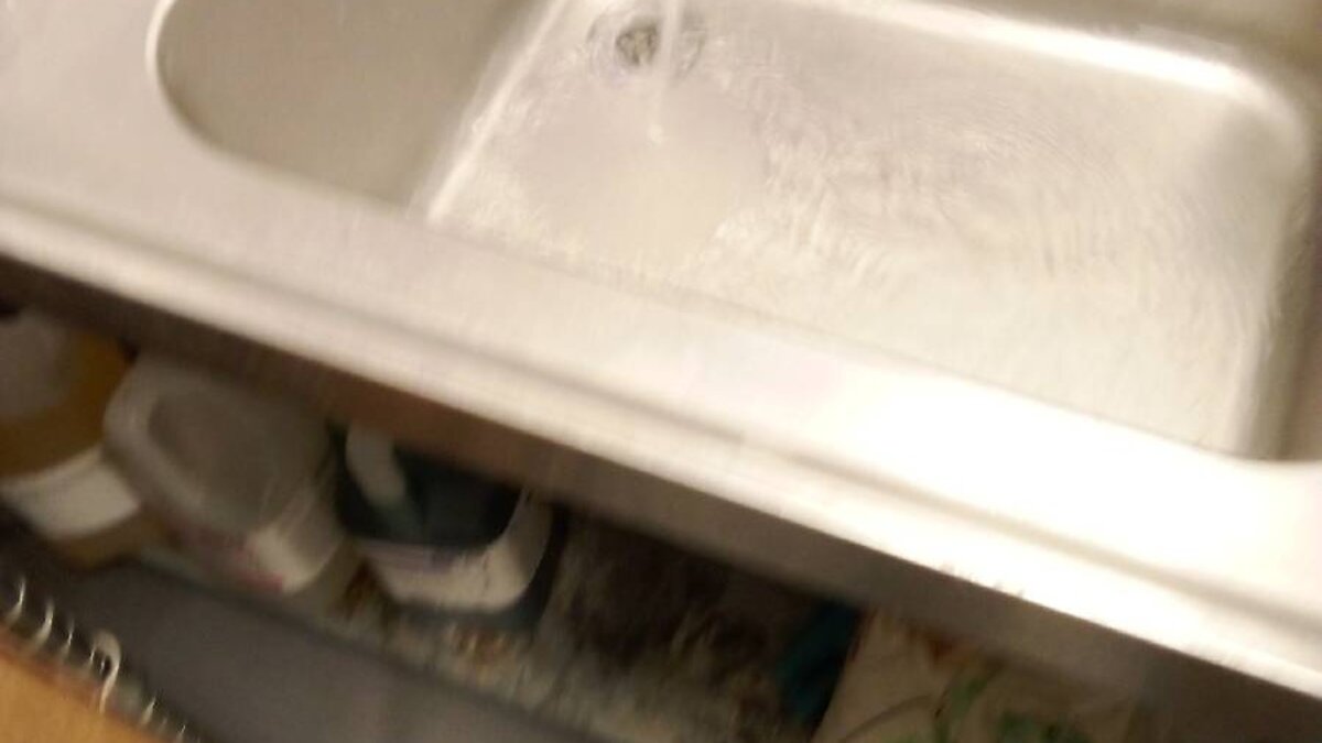 Sink Leak Repair: Replacing Deteriorated Seal Components at a Retail Store in Enfield - image-05.jpeg