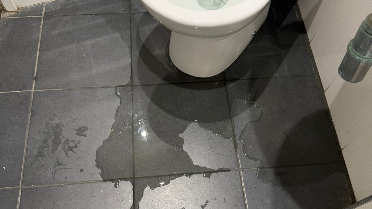 Toilet Leak and Blockage: Resolving Two Concurrent Plumbing Faults at a Commercial Office in Paddington - image-05.jpeg