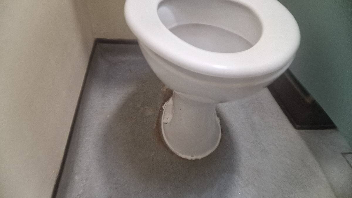 Toilet Refix at School: Securing Loose WC Pans at a Special Educational Needs School in St Albans - image-07.jpeg