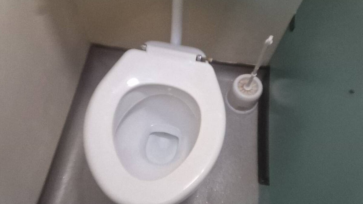 Toilet Refix at School: Securing Loose WC Pans at a Special Educational Needs School in St Albans - image-08.jpeg