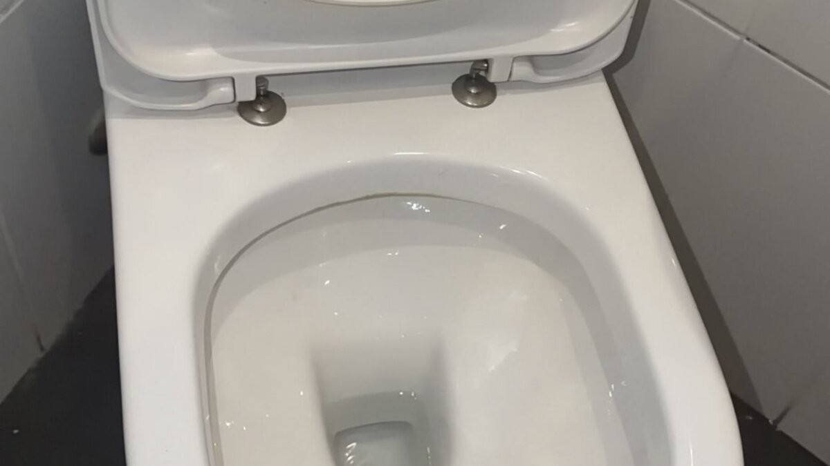 Toilet Leak and Blockage: Resolving Two Concurrent Plumbing Faults at a Commercial Office in Paddington - image-10.jpeg