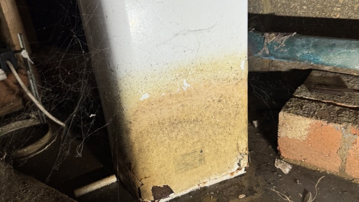 Multi-Trade Reactive Repairs: Clearing an 11-Item Maintenance Backlog at a Commercial Entertainment Venue in Brent Cross - image-110.jpeg